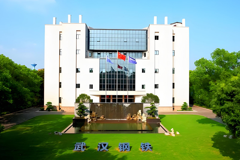 Major Partnership Launched! WISCO Teams Up with Zhuzhou Shuangling to Build a Turnkey Solution for the Entire Metal Powder Industry Chain.