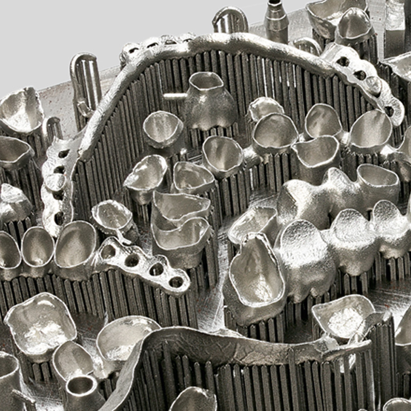 Биомедицина